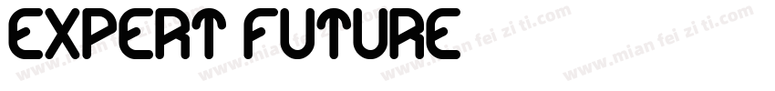 Expert Future字体转换